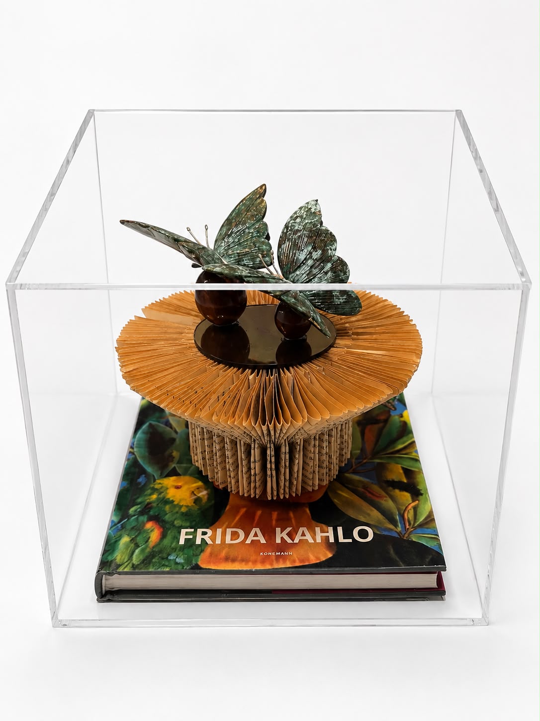 Borboleta Frida.                      (preço sobre consulta) — Clássico, 20cm